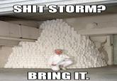 Shitstorm