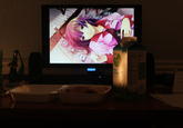 Dinner with Waifu / Otaku Dates