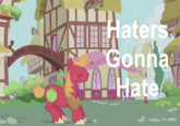 Haters Gonna Hate