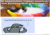 Homophobic Seal