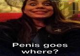 Penis Goes Where/Cock goes where