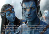 Troll Quotes