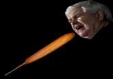 Newt Gingrich