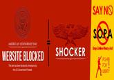 Protect IP Act / Stop Online Piracy Act