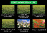 What People Think I Do / What I Really Do