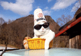 Shironeko / Basket Cat