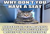 Chris Hansen Cat