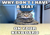 Chris Hansen Cat