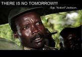 Troll Quotes