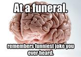 Scumbag Brain