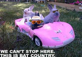 We Can't Stop Here, This is Bat Country