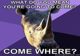 Sexually Oblivious Rhino
