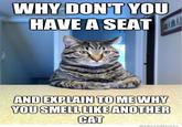 Chris Hansen Cat