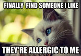 First World Problems Cat