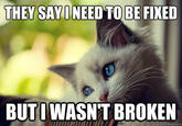 First World Problems Cat