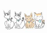 Shironeko / Basket Cat