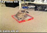 If It Fits I Sits