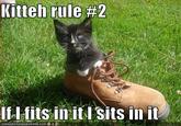 If It Fits I Sits