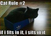 If It Fits I Sits