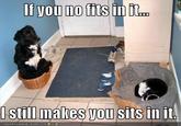 If It Fits I Sits