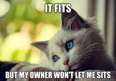 If It Fits I Sits