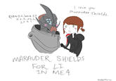 Marauder Shields