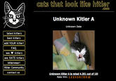 Kitler