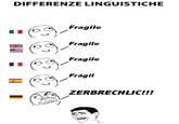 Differenze Linguistiche