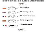 Differenze Linguistiche