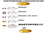 Differenze Linguistiche