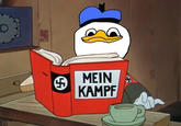 Dolan