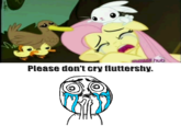 My Little Pony: Friendship is Magic