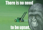 That Really Rustled My Jimmies