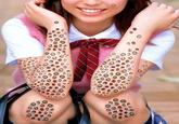Lotus Pod Holes