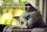 First World Problems Cat
