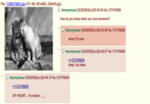 Baww