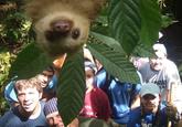 Cute Animals