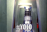 YOLO
