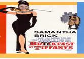 Samantha Brick's Column