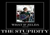 Link & Zelda Confusion / What if Zelda was a girl?