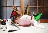 Shironeko / Basket Cat