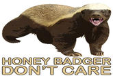 Honey Badger