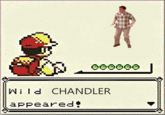 A Wild X Appears! / Wild X Appeared!