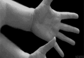 Droste Effect
