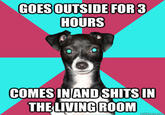 Dickhead Dog
