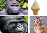 That Really Rustled My Jimmies