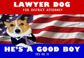 Lawyer Dog