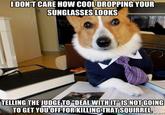 Lawyer Dog