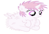 Fluffy Ponies