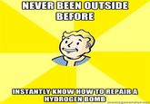 Fallout